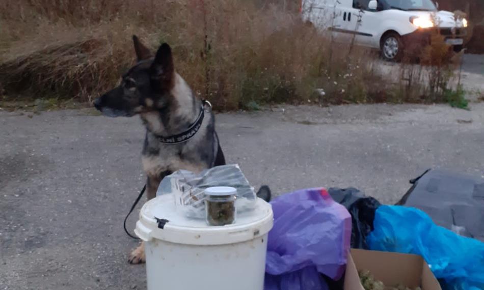 Záchyt konopí a kokainu